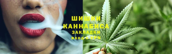 гидропоника Горняк