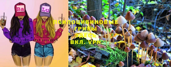 ECSTASY Горнозаводск