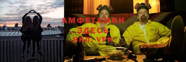 гидропоника Горняк