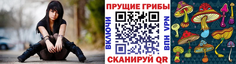 Купить  Лихославль  Псилоцибиновые грибы GOLDEN TEACHER 